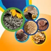 Apollo Ingredients Ltd