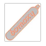 Bombay Oxygen Investments Ltd