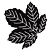 Seasons Textiles Ltd
