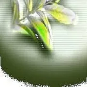 KS Smart Technlogies Limited