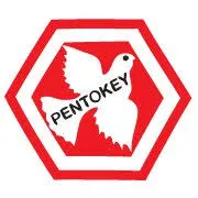 Pentokey Organy (India) Ltd