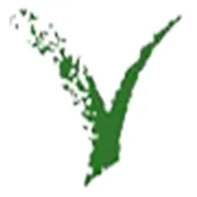 Kati patang Lifestyle Ltd