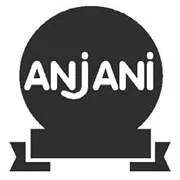 Anjani Synthetics Ltd