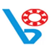 Vishal Bearings Ltd
