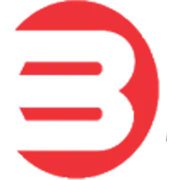 Benara Bearings & Pistons Ltd