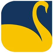 New Swan Multitech Ltd