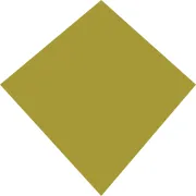 Artemis Medicare Services Ltd