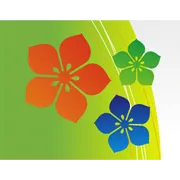 Asahi Songwon Colors Ltd