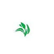Dhunseri Tea & Industries Ltd