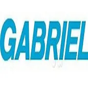 Gabriel India Ltd