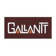 Gallantt Ispat Ltd.