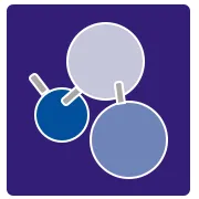 Jagsonpal Pharmaceuticals Ltd