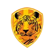 Rajputana Industries Ltd