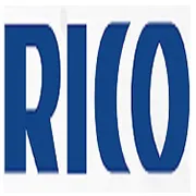 Rico Auto Industries Ltd