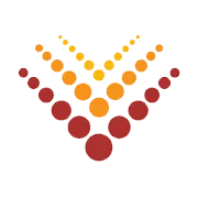 Vinsys IT Services India Ltd